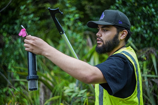 Te Whakamaru o Horohoro Pekapeka monitoring