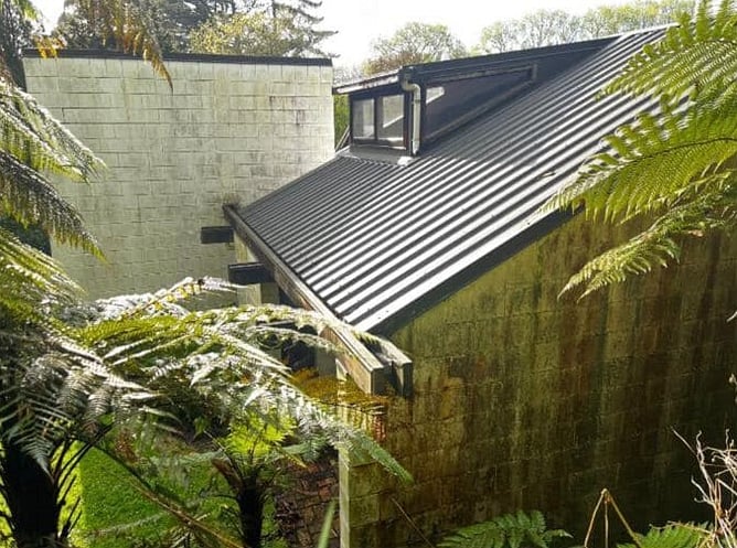 concrete brick wall with mould growing on it