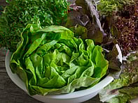 For all the latest gardening advice for December, visit Amber Garden Centre