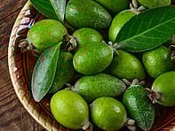 For all the latest gardening advice for May, visit Amber Garden Centre