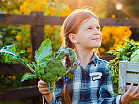 For all the latest gardening advice for September, visit Amber Garden Centre