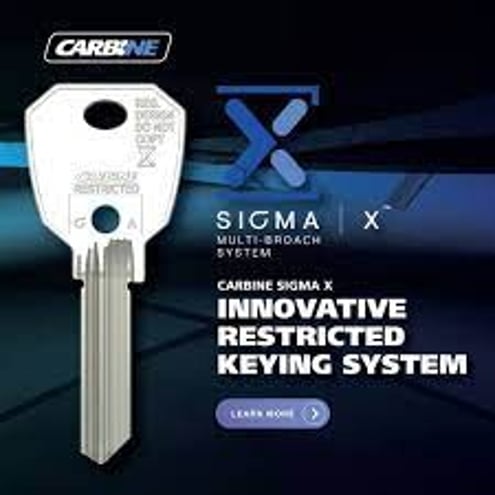 a photo of a carbine sigma x key