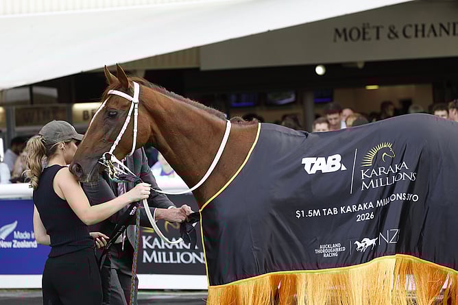 National Online Yearling Sale graduate Well Written has earned over $2.6M