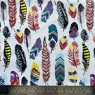 Colourful feathers on light background