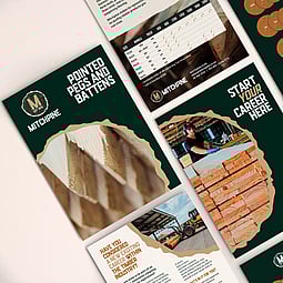 Selection of Mitchpine flyers