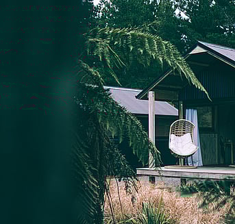 View of an Arete whare from the bush