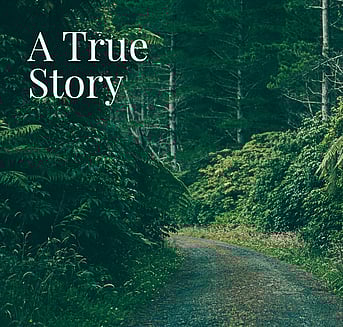 A gravel road in the bush