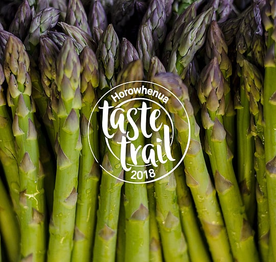 Horowhenua taste trail hero image of aspargus 2018