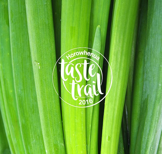 Horowhenua Taste Trail hero image of spring onions 2016