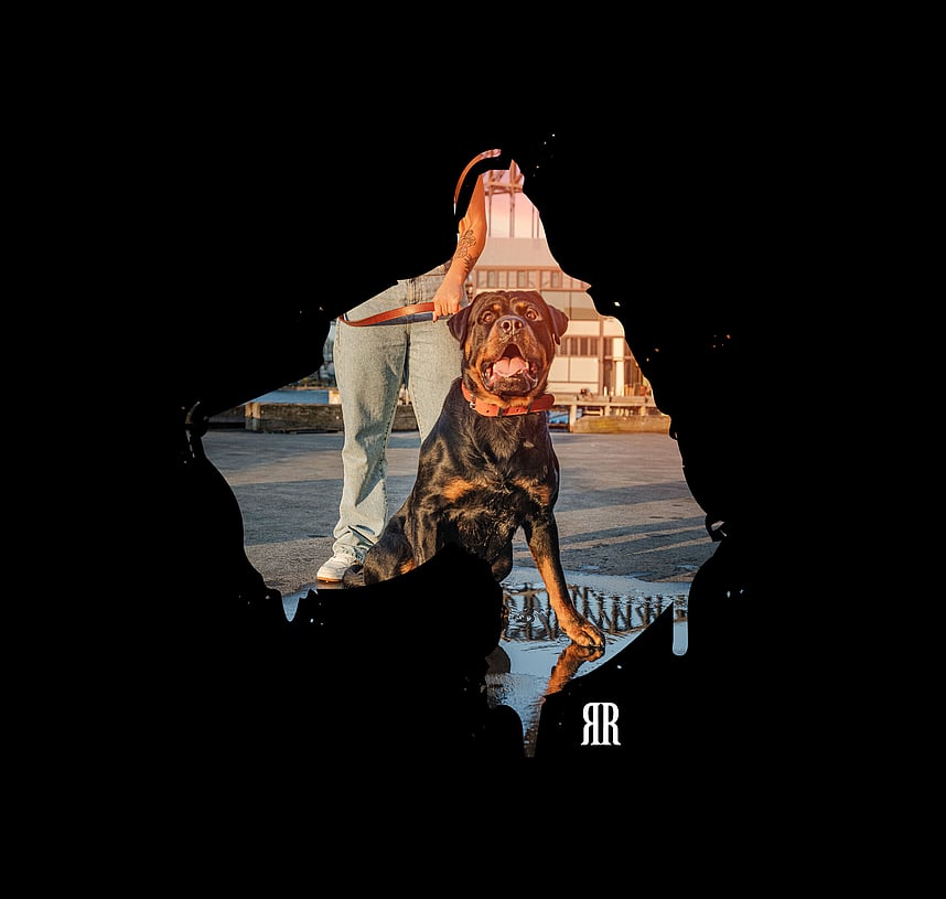 Rogue Royalty graphic/look and feel example