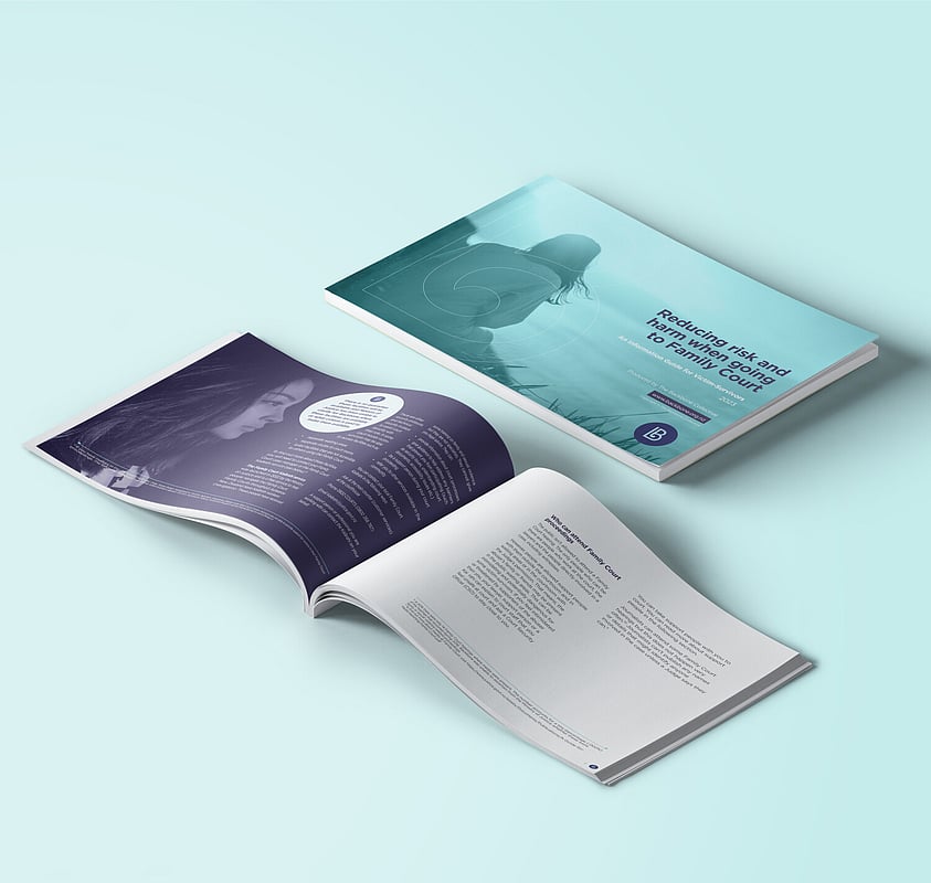 Backbone resource document for reducing the risk and harm when going to family court. Written for survivors and victims of family violence