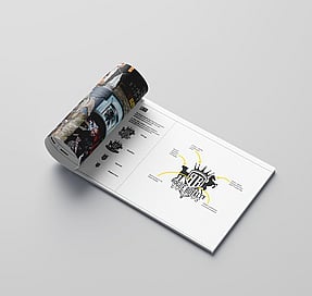 Rogue Royalty audit document