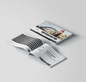 Rogue Royalty Brand guideline document