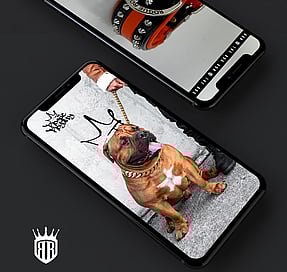 Rogue Royalty social media template example