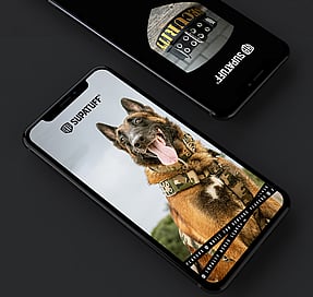 Rogue Royalty Supatuff social media template examples