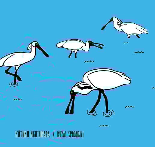 Spoonbills wading in the estuary illustration