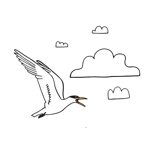 Caspian Tern in the clouds illustration