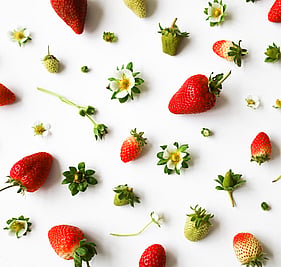 Creative layout of strawberries and strawberry flowers