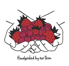 Illustration of a handful of berries