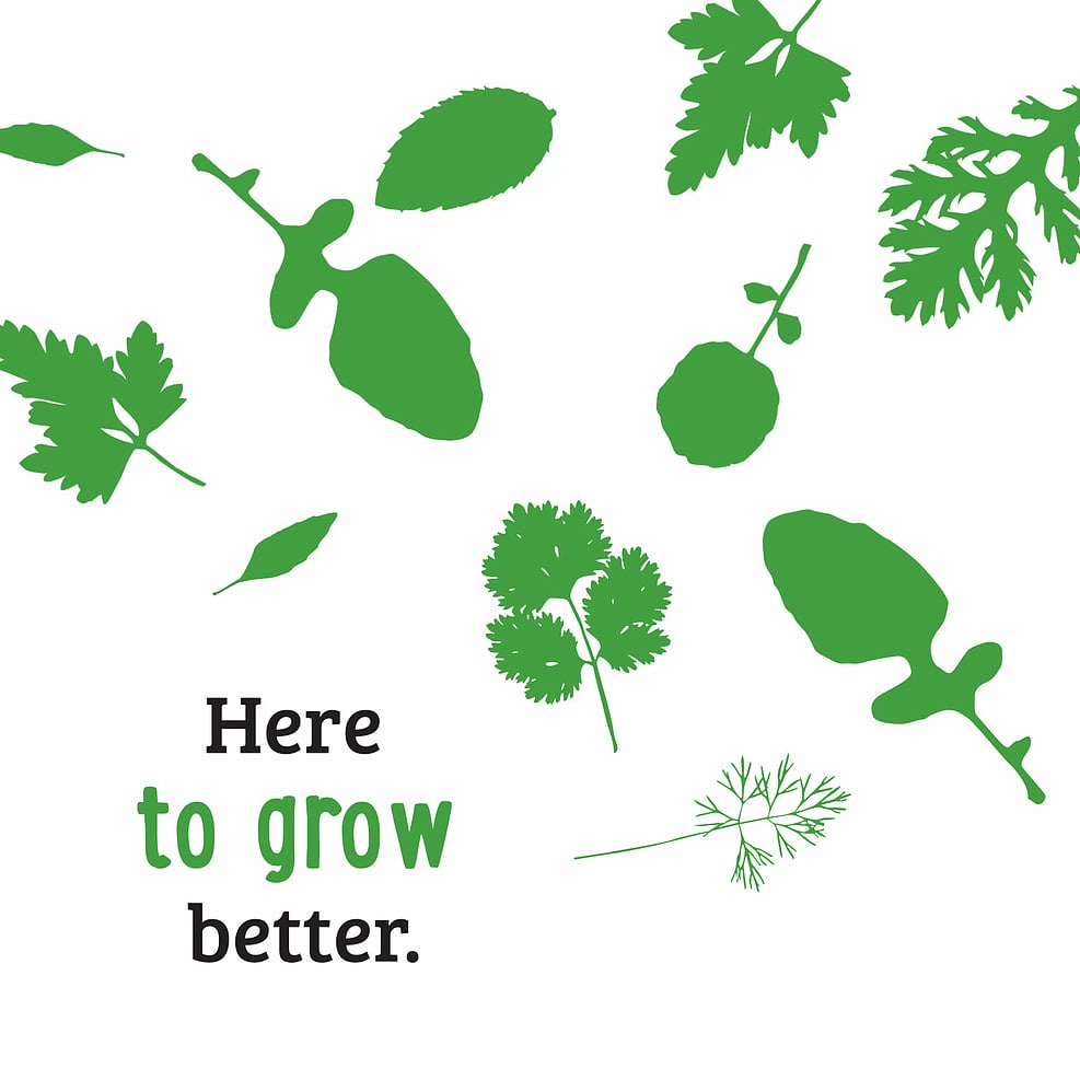 various herbs and greens silhouettes