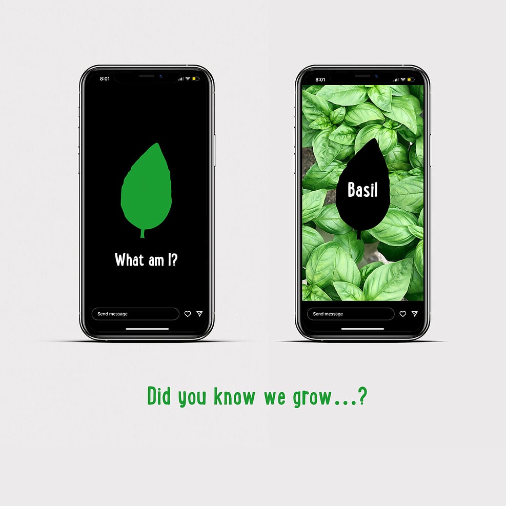 Did you know we grow - graphics for social media