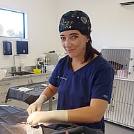 GVS vet doing surgery 