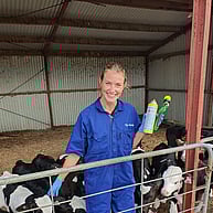 vet Jo and calf disbudding