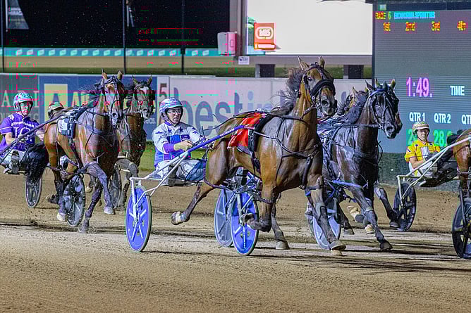 Photo: Club Menangle/Pacepix
