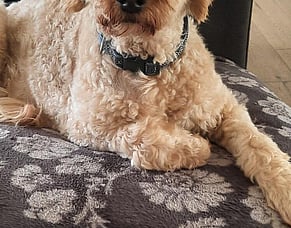 Barossa Valley, Adelaide, Australia