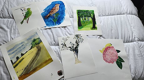 Paintings completed by a Toroa participant, 2022