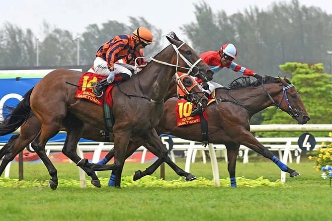 Fortune Tree (Aify Yahaya) holding off Duma (Ruzaini Supien, orange cap) and Pacific Energy (Jordan Mallyon, in the middle) to win the Group 1 Tunku Gold Cup (1,200m) at Sungai Besi - Photo: SLTC