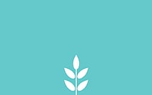 Fundraising ideas nz