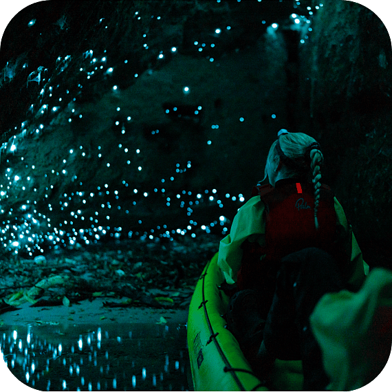 Kayakers in a lakeside cave on a Rotorua lake with glow worms surrounding them