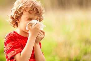 Hayfever