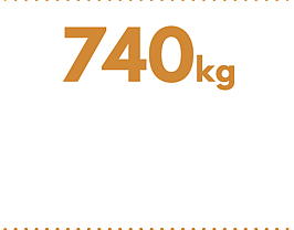 740kg per capita  waste per annum in 2018  