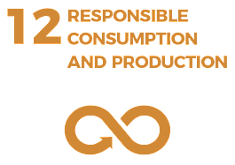 Waikato Wellbeing Project Sustainable Development Goal 12