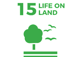 Waikato Wellbeing Project Sustainable Development Goal 15