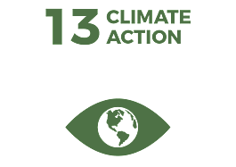 Waikato Wellbeing Project Sustainable Development Goal 13