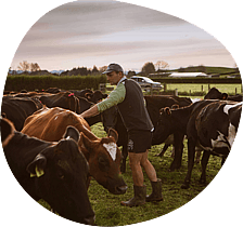 Support - Mangaotama Objective