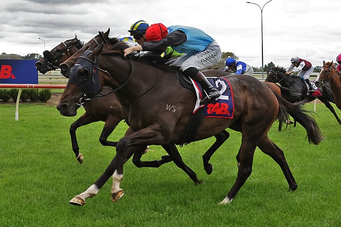 Wolf God winning at Pukekohe on Wednesday. - Photo: Kenton Wright (Race Images)