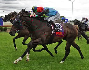 Wolf God caps off good form