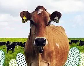 HubWatch - 2 April 2026