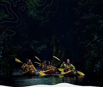 Kayak down Lake Karapiro to the Pokaiwhenua and experience the glowworms at twilight.