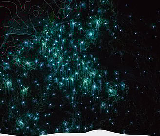 Overnight Escape in the Waikato | A four part adventure getaway stay