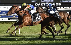 Spieth - Trelawney Stud Bred & Sold