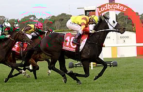 Savaheat - Savabeel x Heat Storm