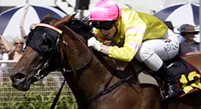 Zarzuela - Born & Raised at Trelawney