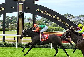 Samiam Seussie - Raced by Brent & Cherry Taylor, Faith Taylor & Jane Taylor