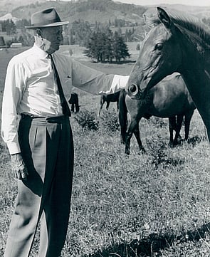 Seton Otway spending time with one of his foals