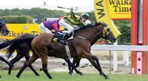 November Rain - Sold by Trelawney Stud